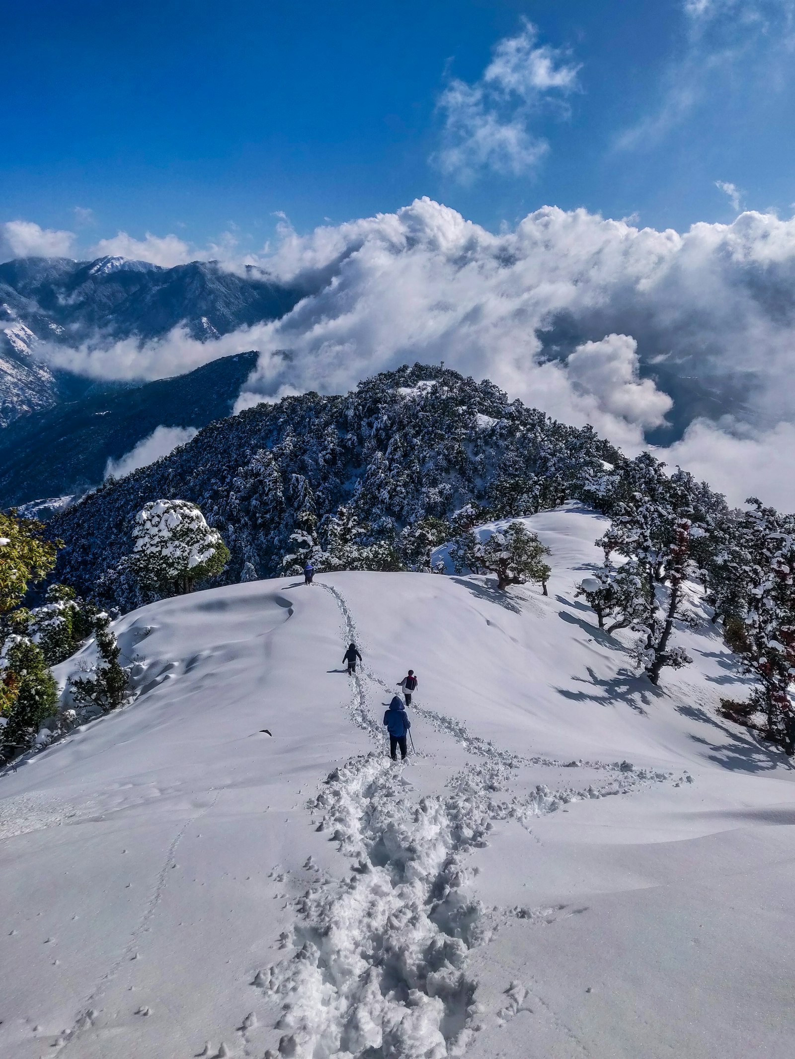 Kashmir Classic — Srinagar, Gulmarg, Pahalgam